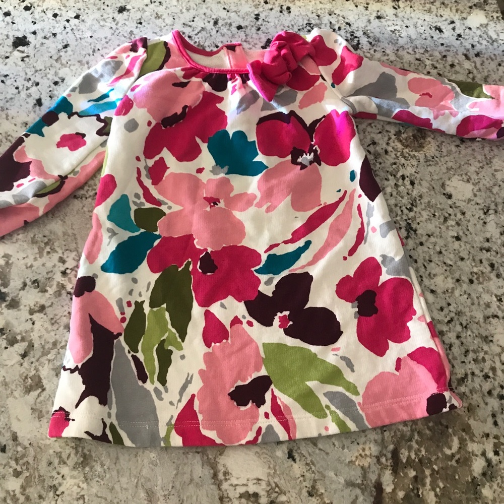 Gymboree long sleeve dress 18-24m